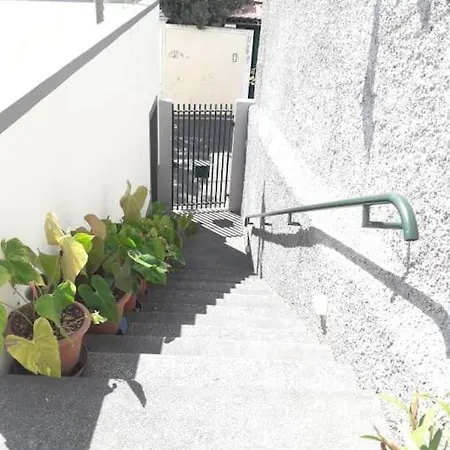 Madeira Panoramic Villa- Promocao 2 Ou 3 Semana *