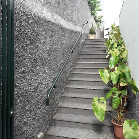 Madeira Panoramic Villa- Promocao 2 Ou 3 Semana Apartment Funchal (Madeira)