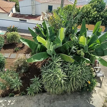 Апартаменты Madeira Panoramic Villa- Promocao 2 Ou 3 Semana