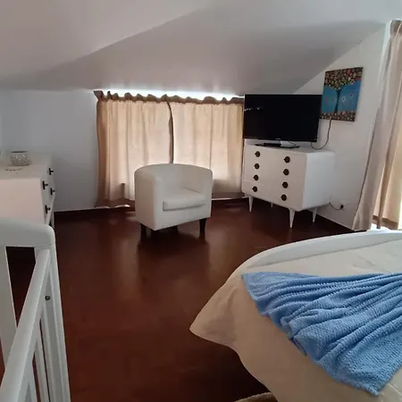 Madeira Panoramic Villa- Promocao 2 Ou 3 Semana Apartment