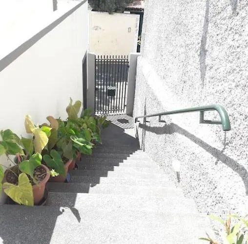 Madeira Panoramic Villa- Promocao 2 Ou 3 Semana *