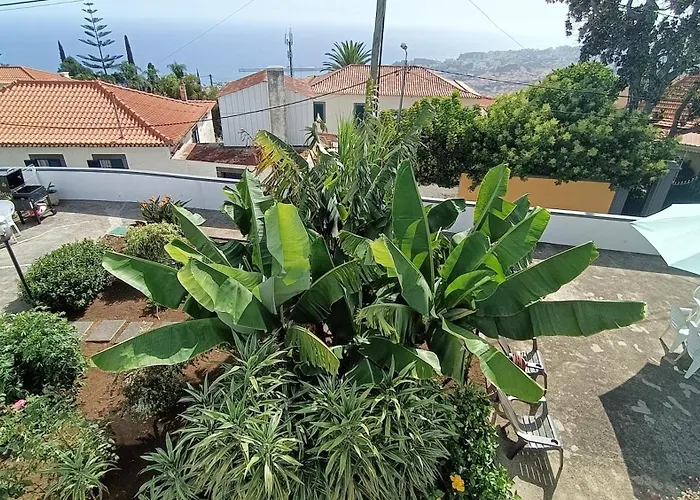 Madeira Panoramic Villa- Promocao 2 Ou 3 Semana Apartamento