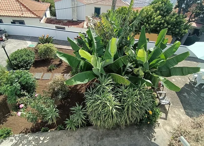 아파트 Madeira Panoramic Villa- Promocao 2 Ou 3 Semana