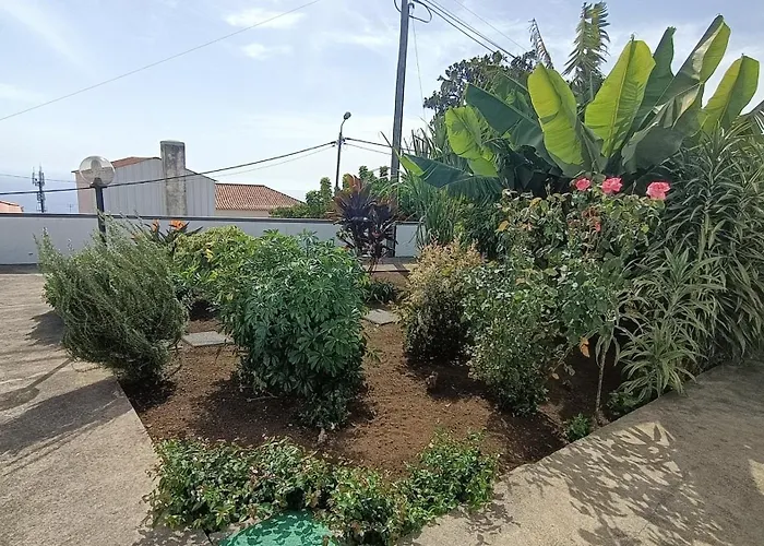 Madeira Panoramic Villa- Promocao 2 Ou 3 Semana 푼샬